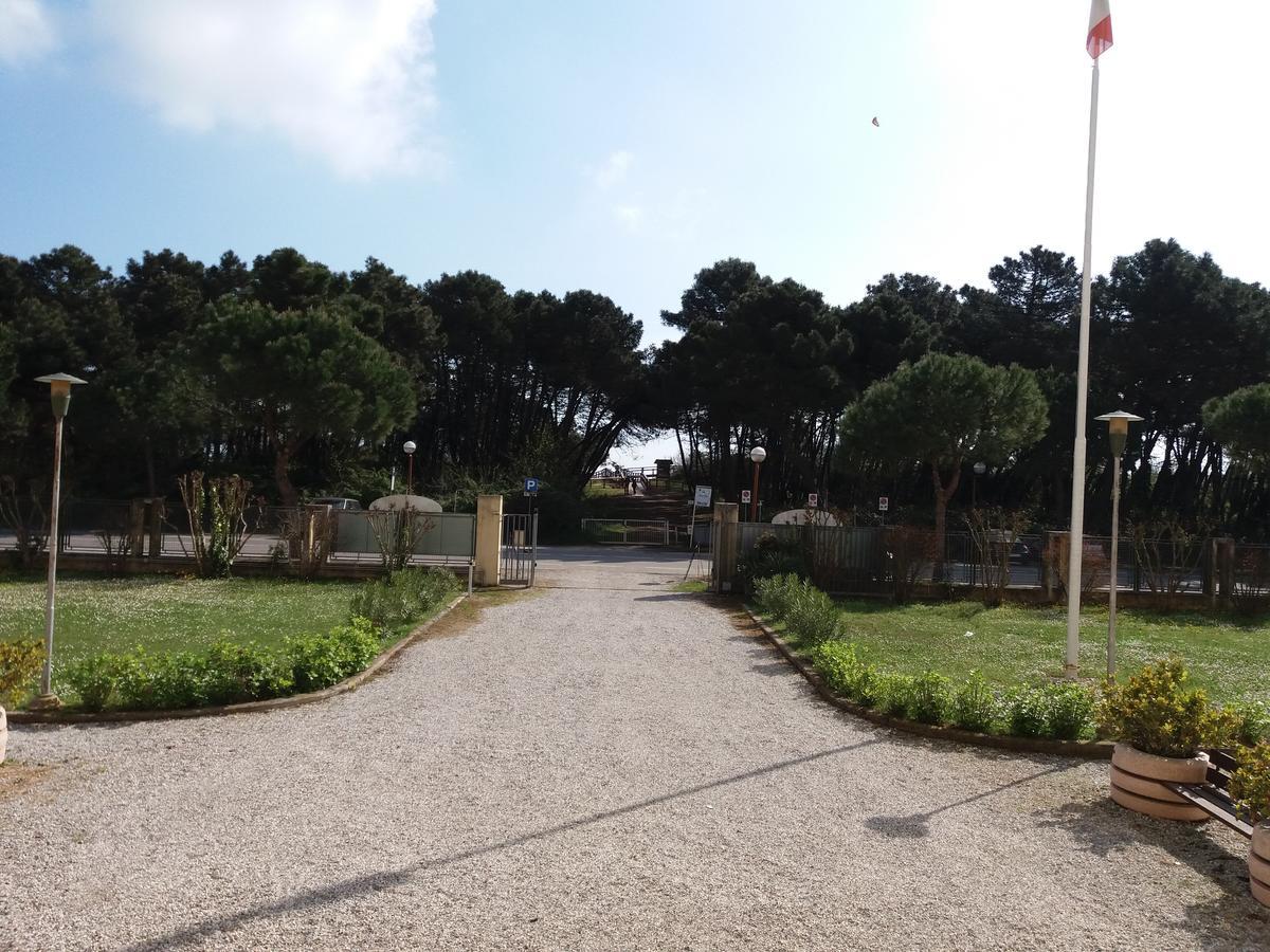 Marina Marina di Ravenna